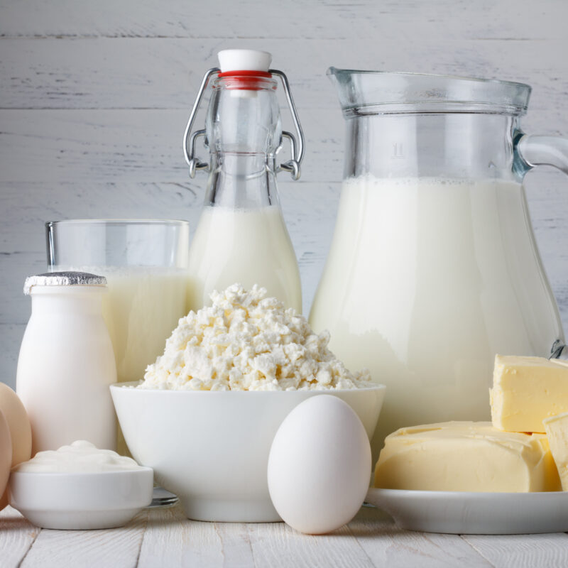 Dairy products with milk, eggs, butter and cottage cheese