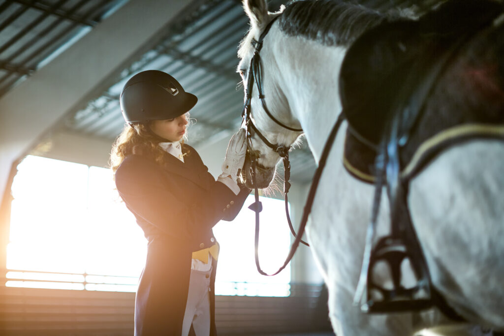Young equestrian grooming horse in covered riding arena