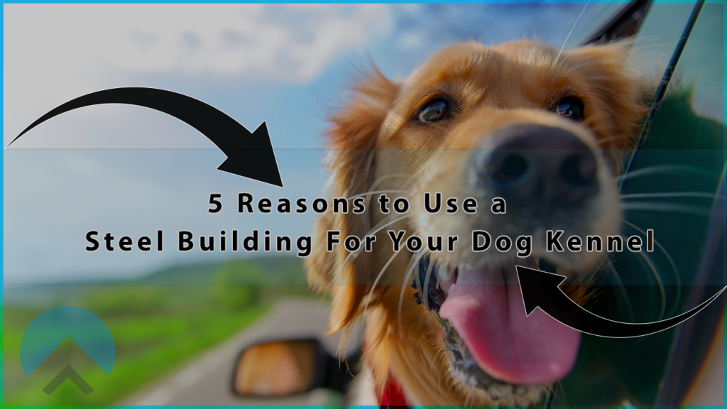 Golden retriever in car with “steel building for dog kennel” text overlay