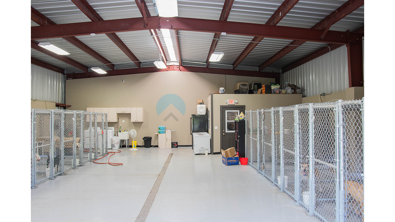 dog kennel buildings are the ideal low cost, low maintenance solution