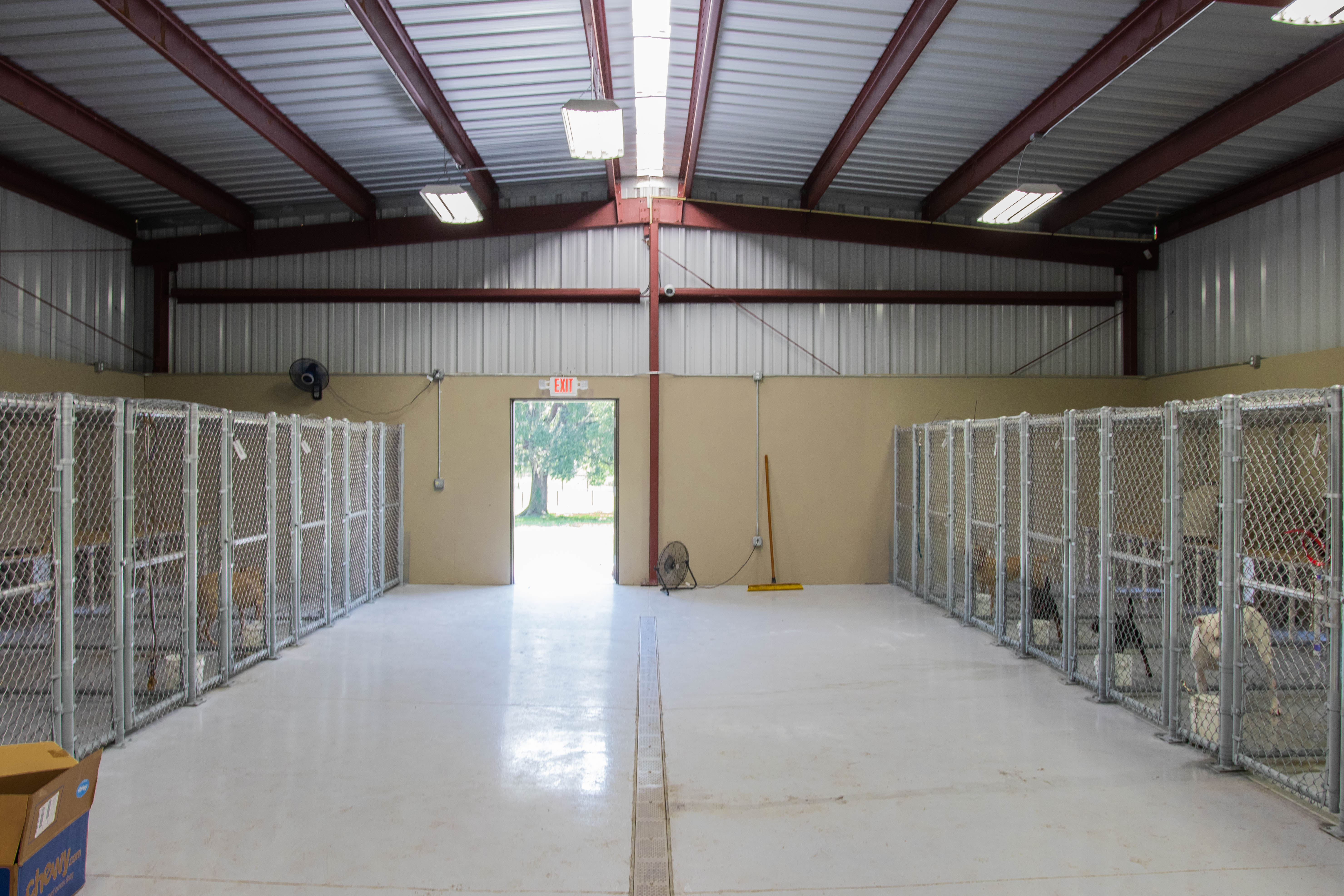 dog kennel buildings are the ideal low cost, low maintenance solution