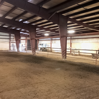 Inside Look of Horse Riding Arena