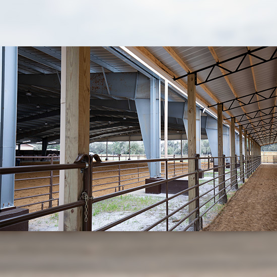 Shed Riding arena