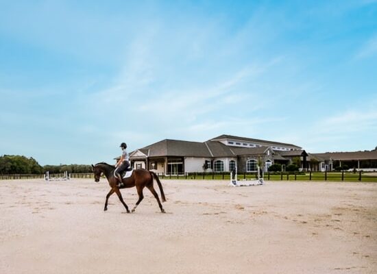 79-x-219-x-18-Riding-Arena-4