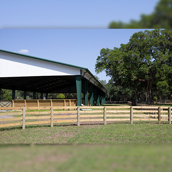Equestrian Metal Shed