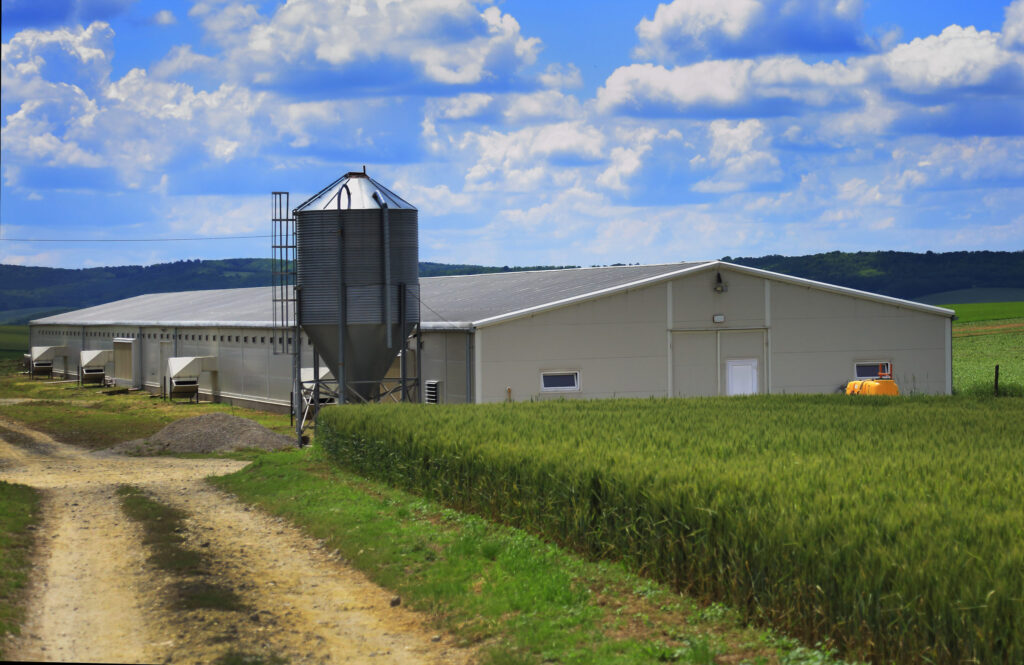 Steel agricultural building with grain silo in farmland