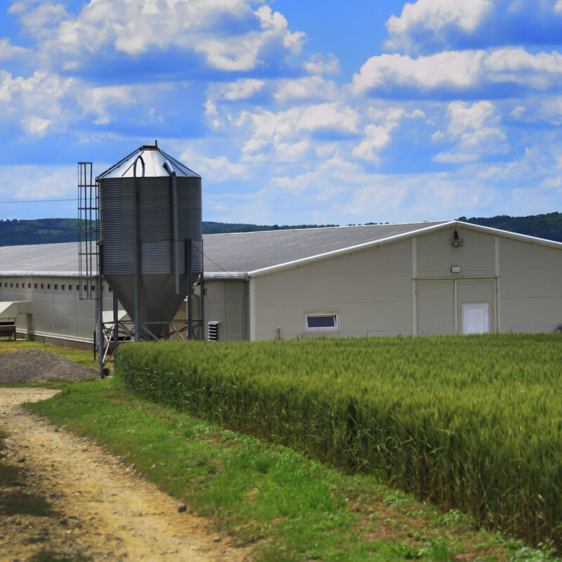 Steel agricultural building with grain silo in farmland