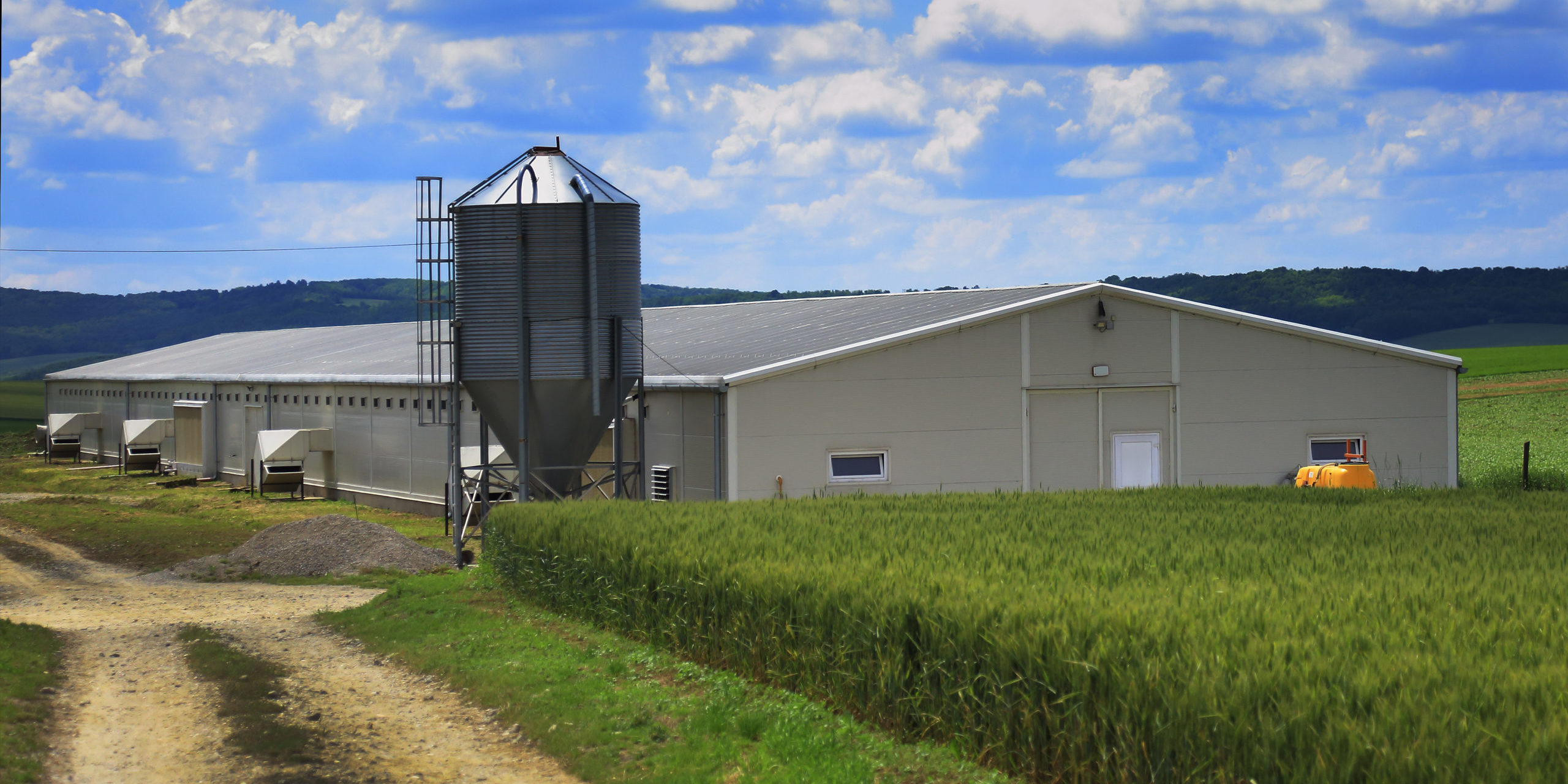 The Ultimate Guide for Building Steel Farm Structures 2022 Coastal