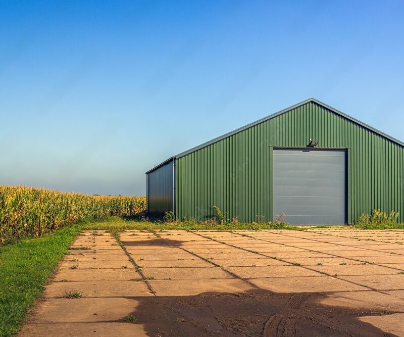Green steel agricultural building beside cornfield