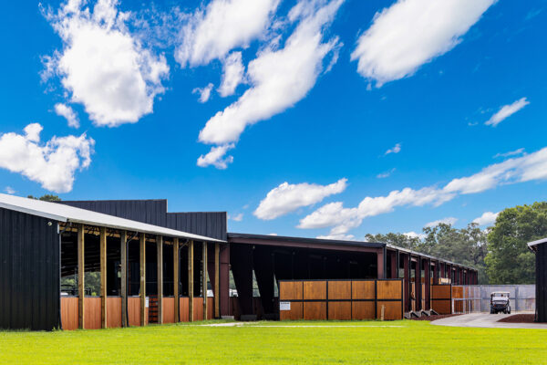 Horse stalls inside an equestrian metal building designed for safety and airflow