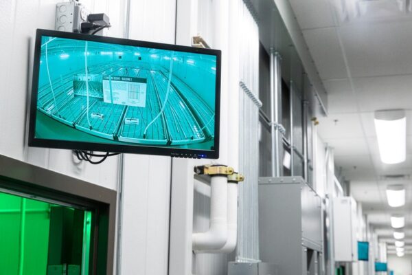 Completed interior view of 305 Farms facility