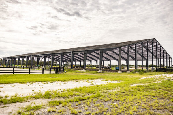 Detail shot of structural steel framing inside the equestrian arena