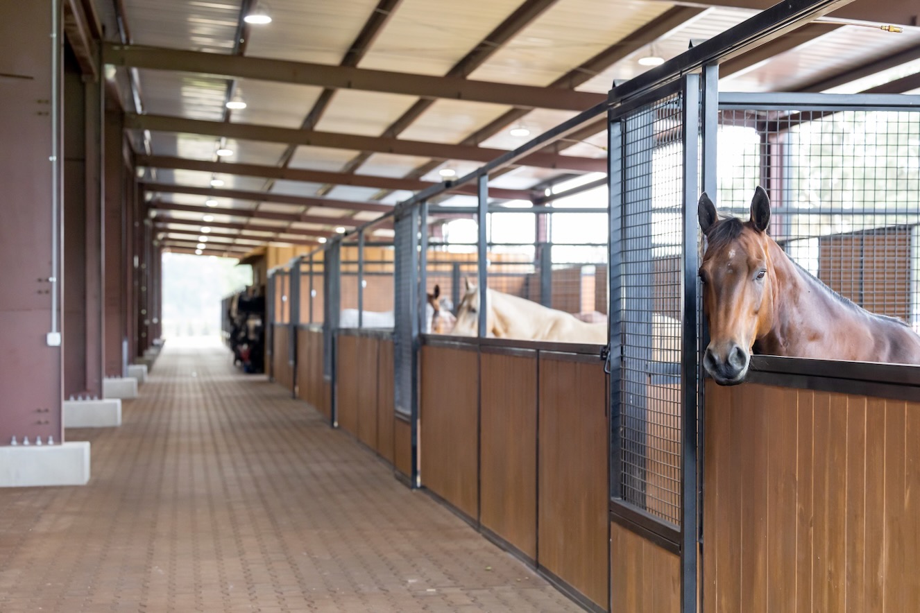 Covered horse barn with metal horse stalls and visible horses